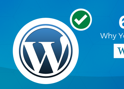 6 Reasons Why You Should Choose WordPress?