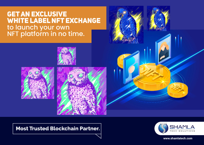 Create NFT Exchange with leading NFT Exchange Platform Development Company
