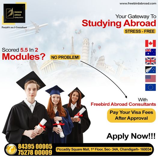 Top Immigration Consultants For Canada in Chandigarh