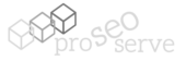 SEO Services Company