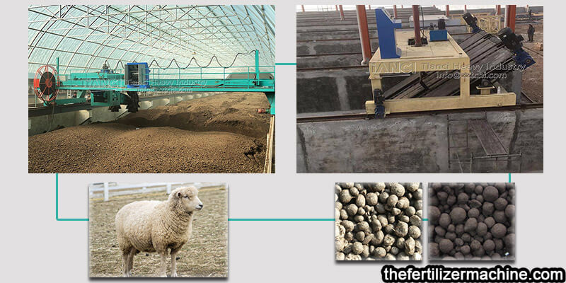 Sheep dung can be used after being treated with compost turning machine
