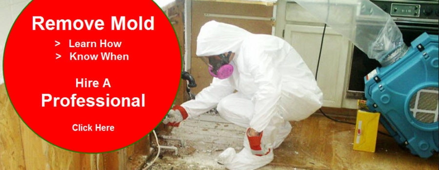 An easy understanding of mold and related problems