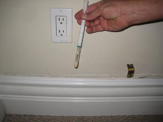 Contact us for professional mold testing at affordable pricing