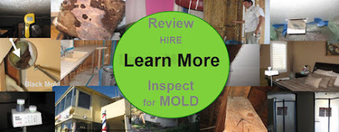 When should you opt for mold inspection at your home?