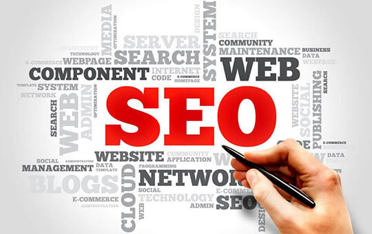 New York seo company | Web Cures Digital