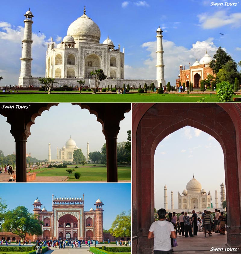 Discover the Magic of North India with Exclusive Tour Packages by Swan Tours