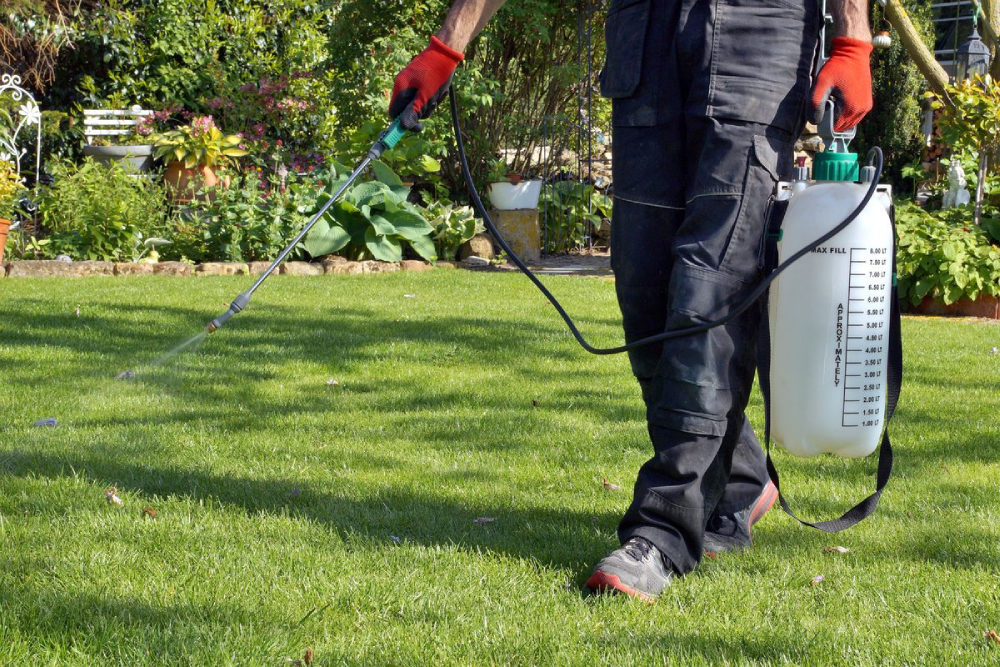 Florida Pest Control