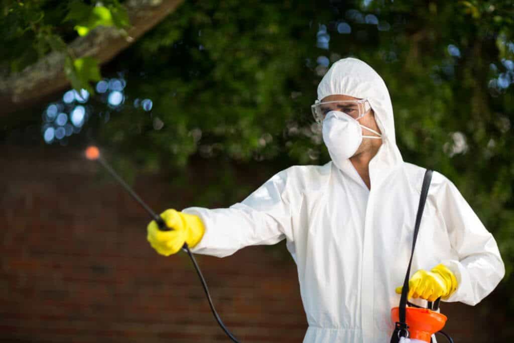 Best Pest Control Leander