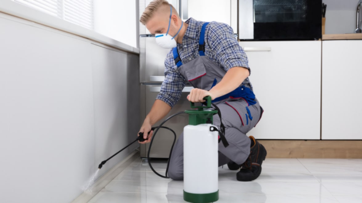 Best Pest Control Leander