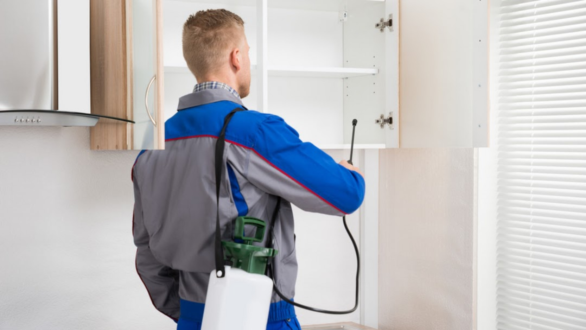 Pest Control Service Liberty Hill