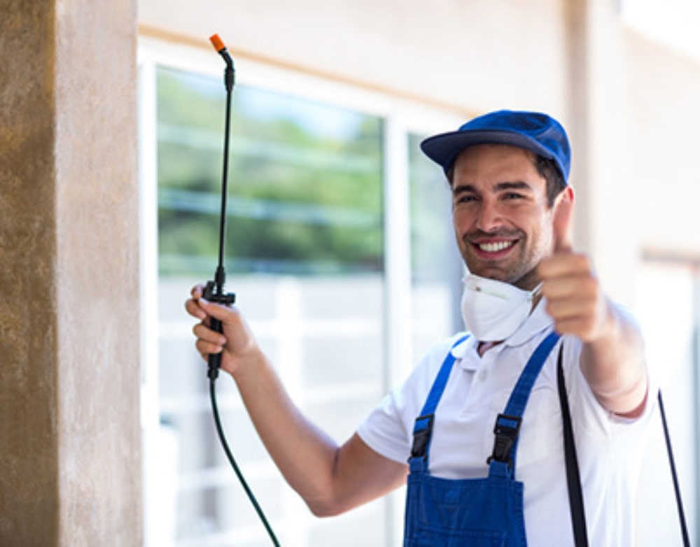 Pest Exterminator in Leander