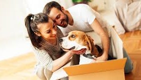 Things to consider when moving with pets