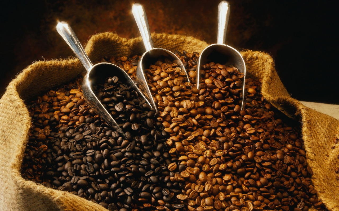 Coffee Buying Guide For Coffee Lovers- Read More