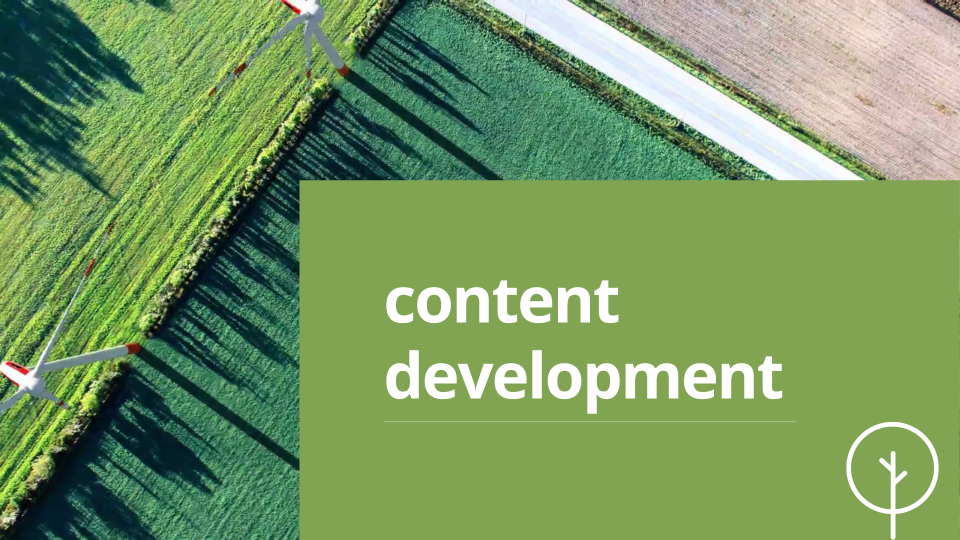 The Importance Of Content Development Services