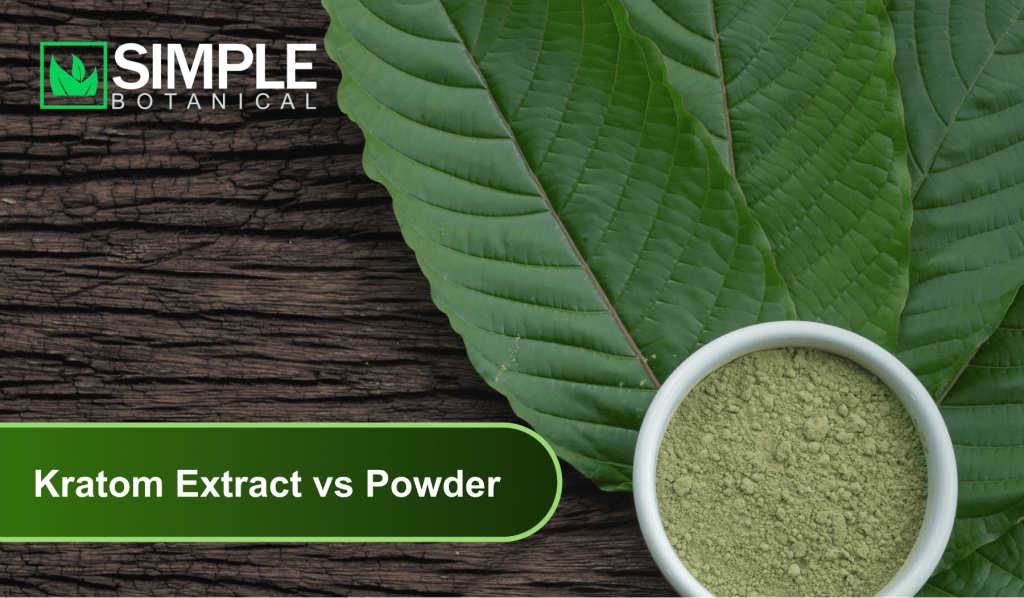 Kratom Extract vs Powder