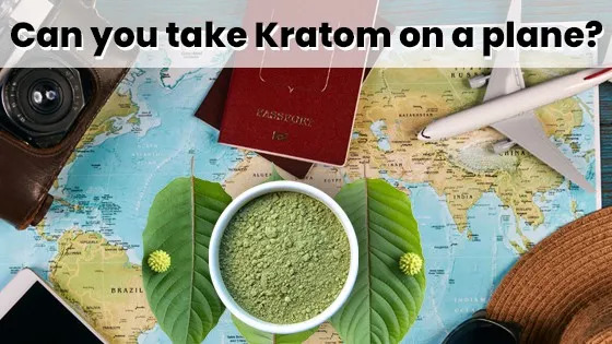 Can You Take Kratom On A Plane?
