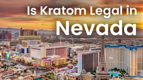 Can You Buy or Use Kratom In Nevada?