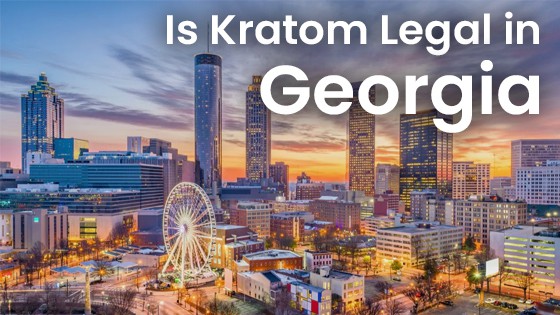 Can You Buy or Use Kratom In Georgia?