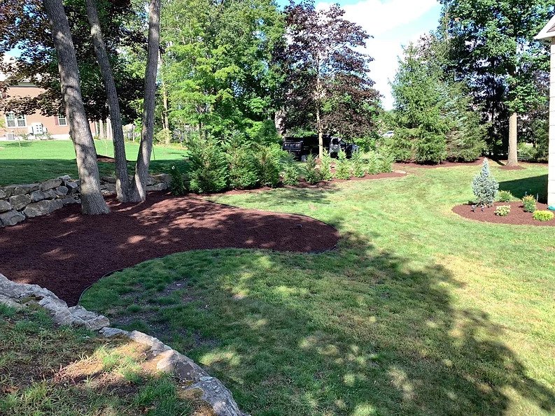 7 Reasons Why Lawn Tree Trimming is a Good Idea