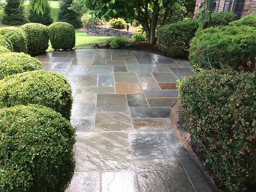 Discover the Ultimate Benefits of Well-Maintained and Healthy Lawn