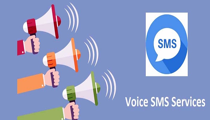 Voice SMS Service