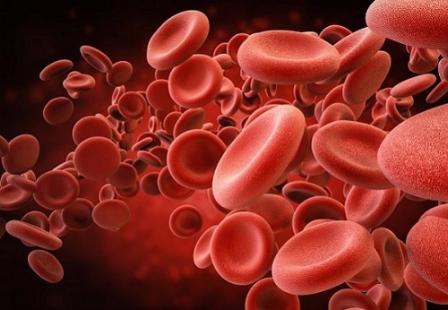 Asia-Pacific Anticoagulation Therapy Market Size, Industry Trends, Leading Players, SWOT Study, Share and Forecast to 2026