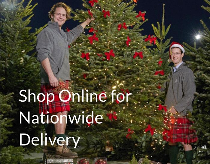 Rent Christmas Trees London