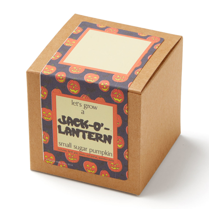 Custom Seeds Boxes Wholesale