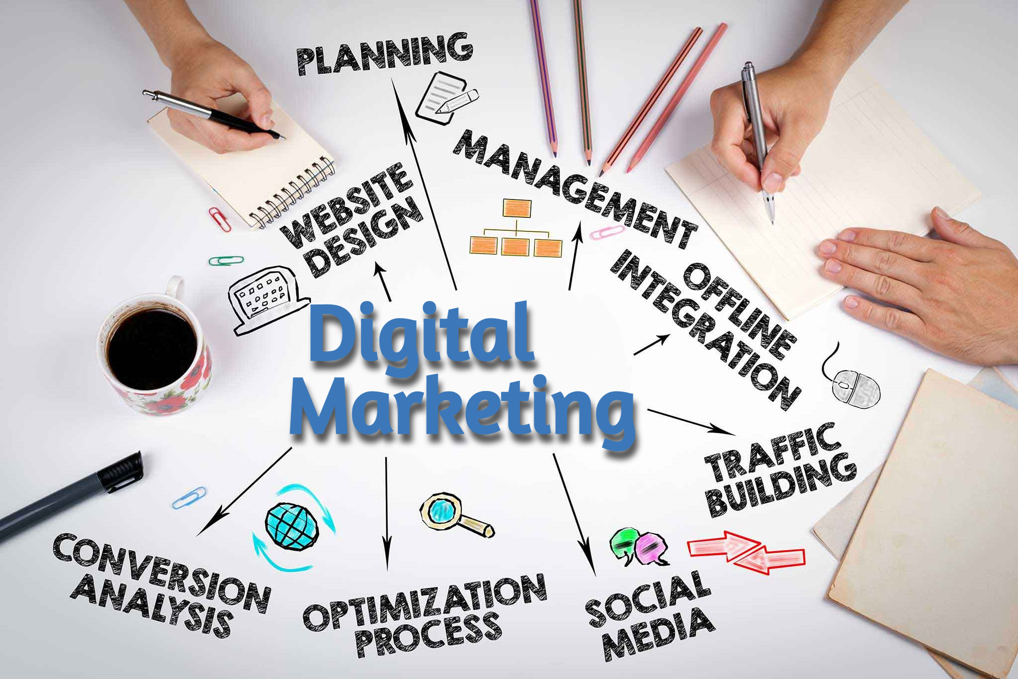 Website Design Services | Web Development Services | Digital Marketing - InsigniaWm