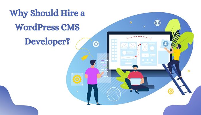 Why Should Hire a WordPress CMS Developer?