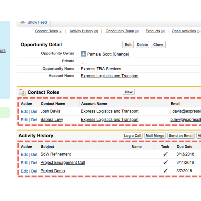 CRM Data Entry & Sales Data Automation