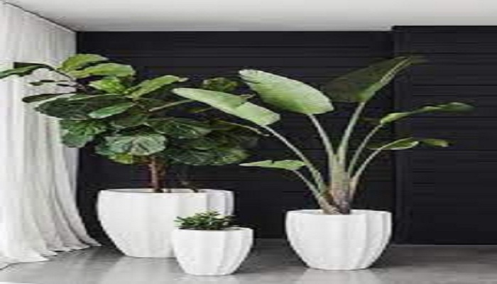 Faux Plants