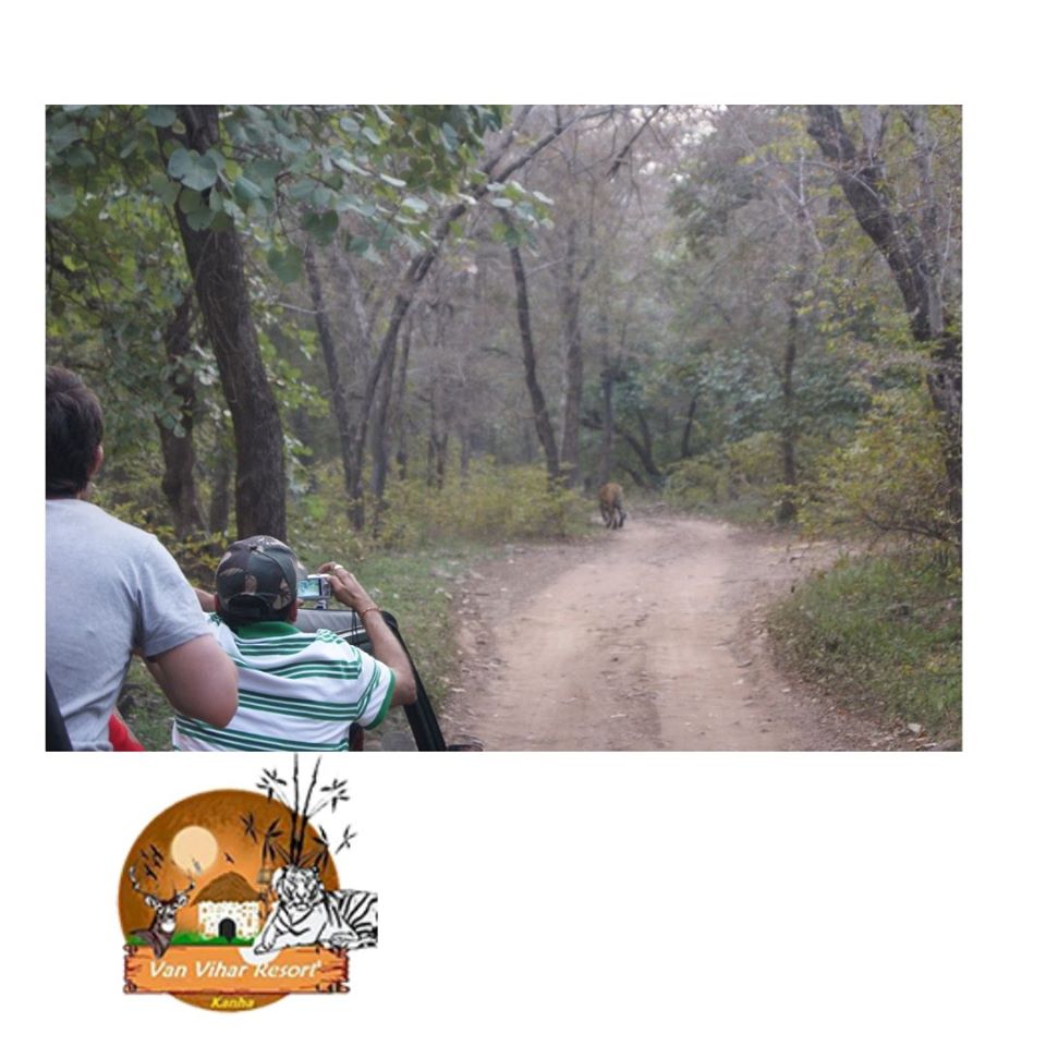Resort Booking In Kanha National Park | Vanvihar