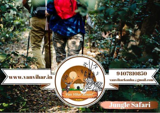 Tour package for Kanha National Park
