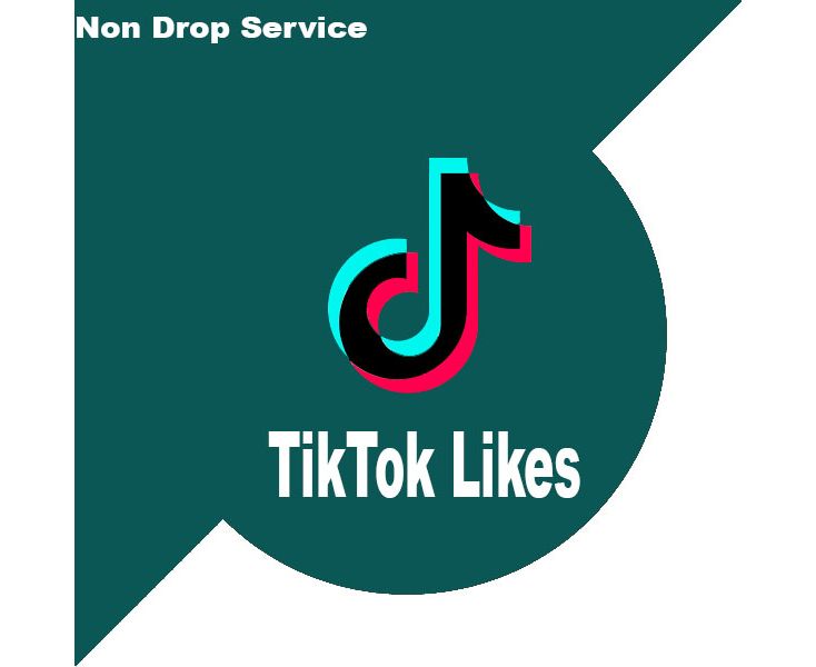 Get Tiktok likes video views at cheap rates-Digitalaid. life