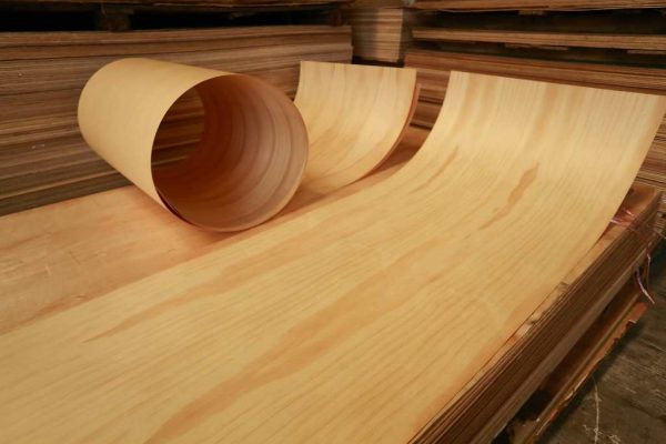 Everything About Wood Veneer