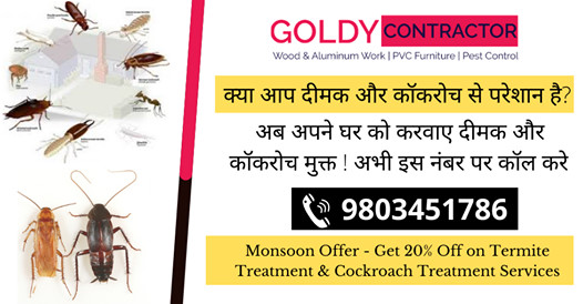 Pest Control in Zirakpur