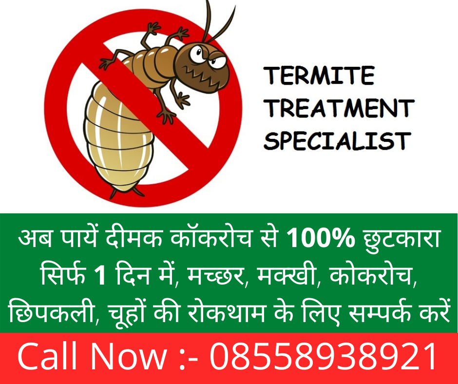 Pest control near me