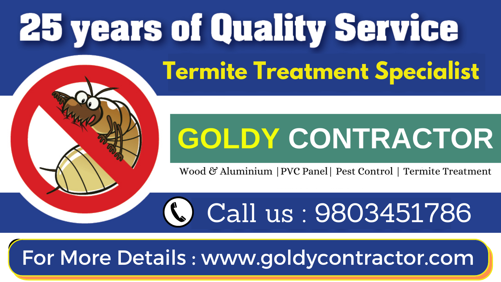 Termite control treatment in Panchkula