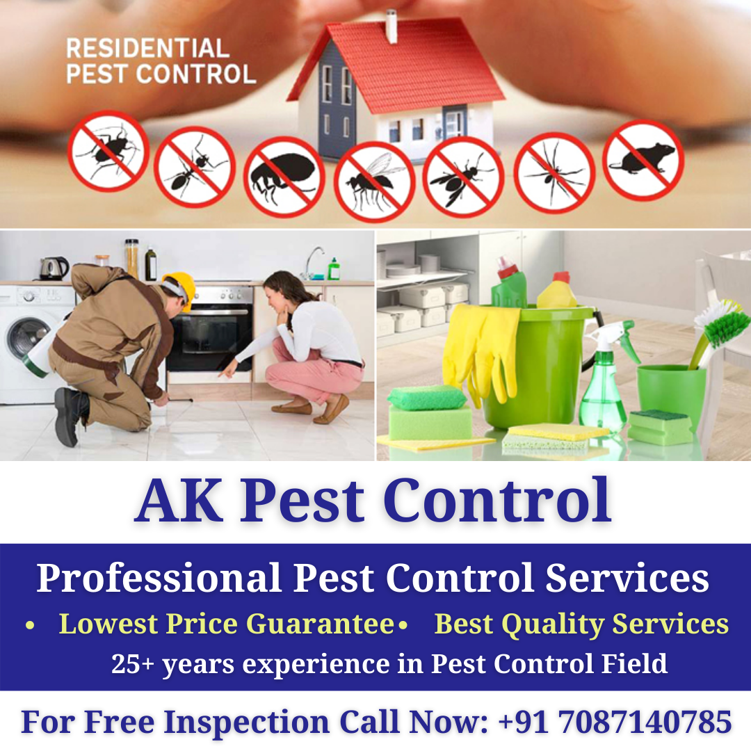 Pest Control in Panchkula