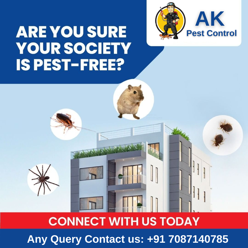 Termite Treatment in Panchkula 