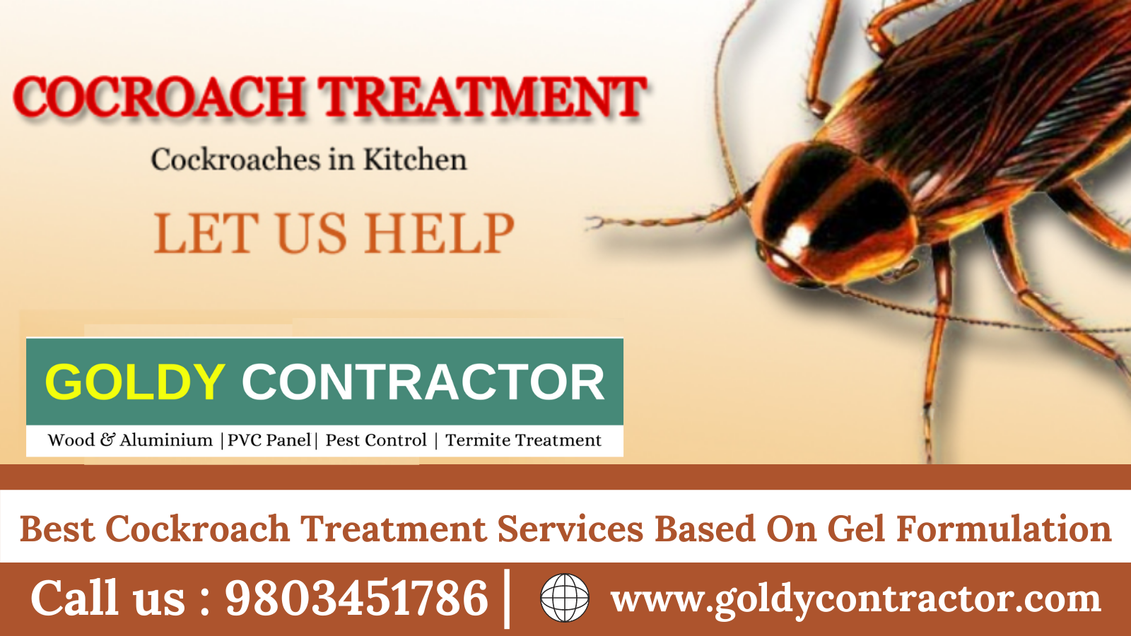 Termite treatment in Panchkula