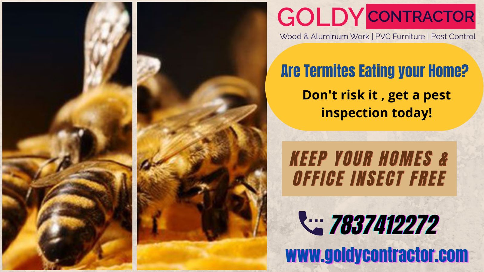 Termite Treatment in Panchkula