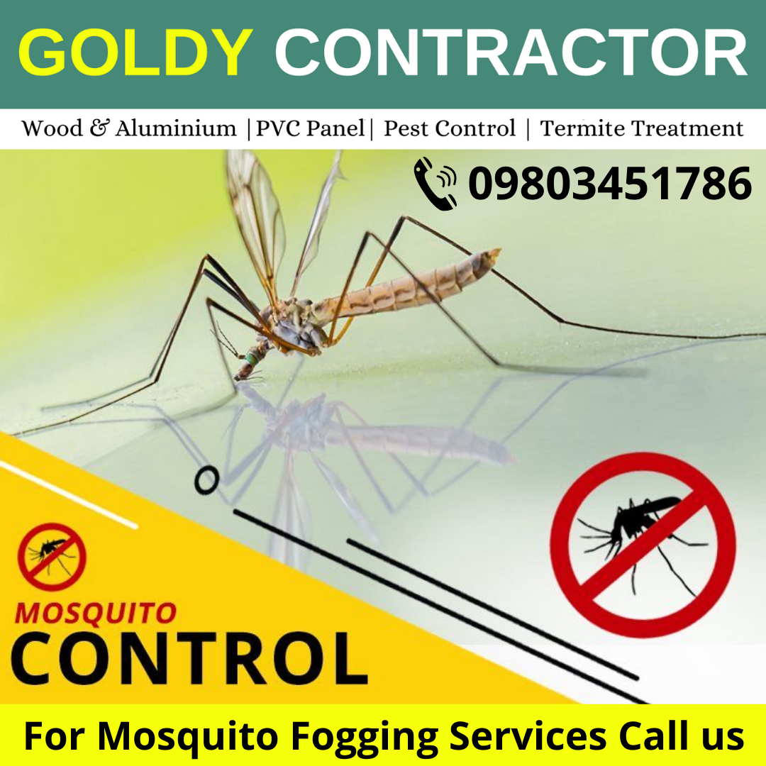 Pest Control Solutions in Zirakpur
