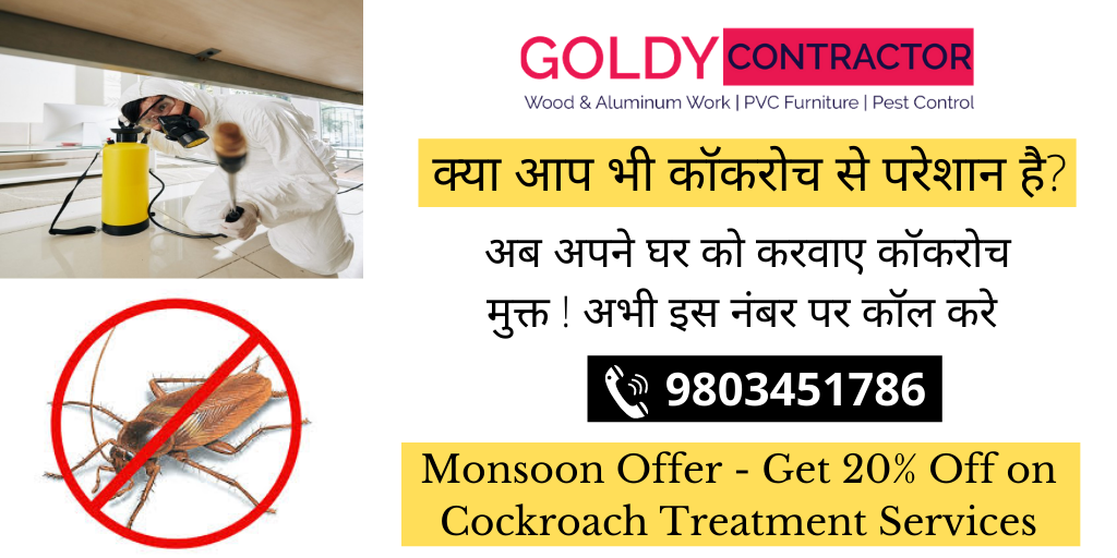 Pest Control near me