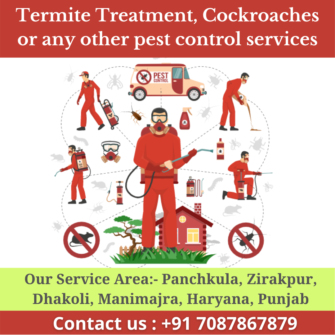 Pest Control near me