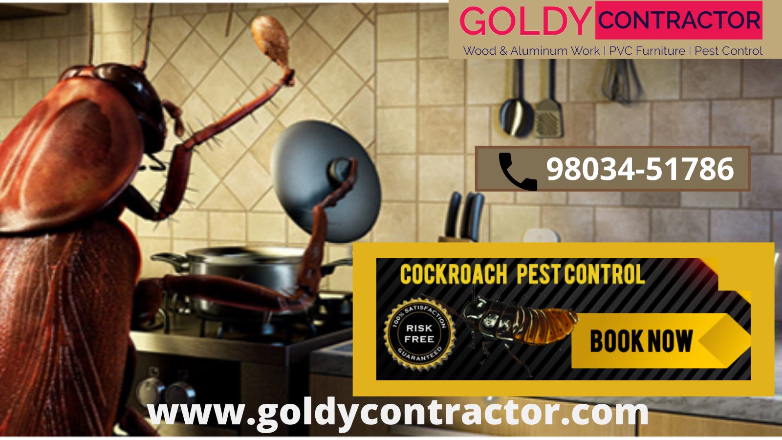 Cockroach Treatment in Zirakpur