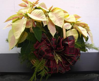 Flowers Shop Online