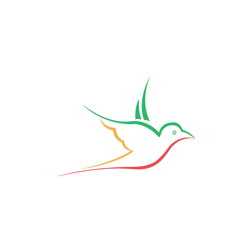 Freelancewebdesigner - Web Design Cochin and SEO in Kerala