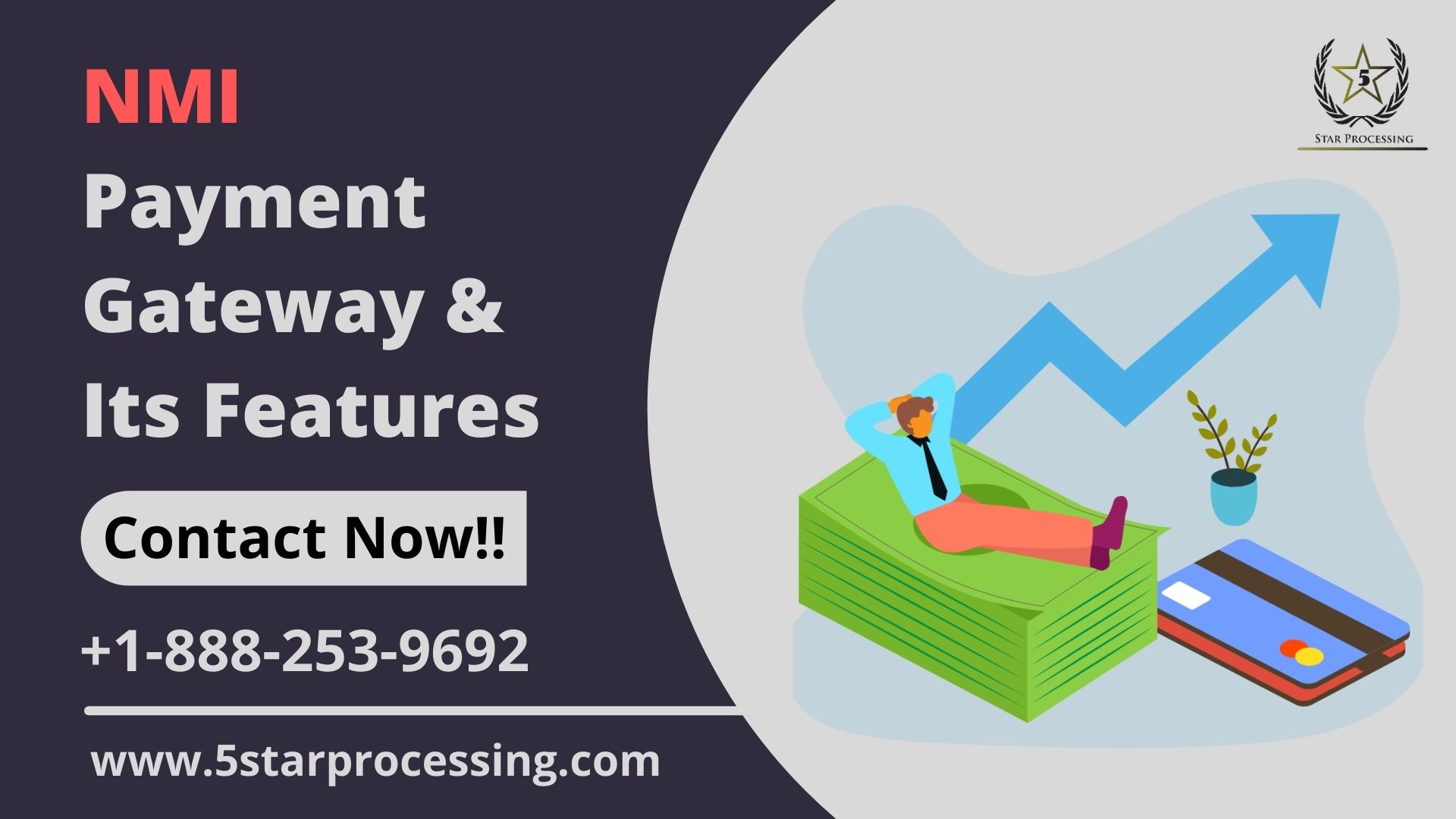 NMI Payment Gateway and its Features